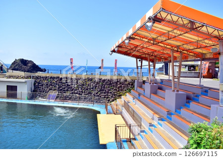 Fukui Prefecture Echizen Matsushima Aquarium Fukui Prefecture Echizen Matsushima Aquarium 126697115