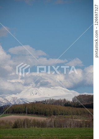 Snowy mountains and woods on a sunny spring day Snowy mountains and woods on a sunny spring day 126697327