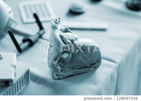 A prototype of a human heart in section printed on a 3D printer. An object created on a 3D printer from sintered plastic powder. New modern additive technologies. 3D Printing technology 126697356