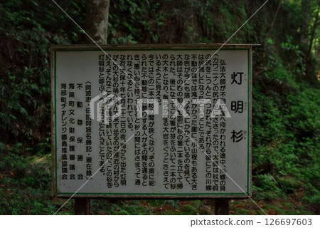 Namikiri Fudoson in Tokushima Prefecture Namikiri Fudoson in Tokushima Prefecture 126697603