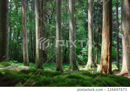 Namikiri Fudoson in Tokushima Prefecture 126697873