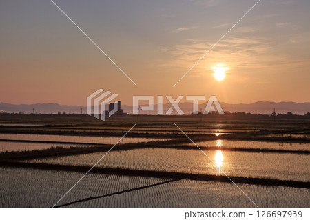 五月清晨陽光照耀下的稻田 五月清晨陽光照耀下的稻田 126697939