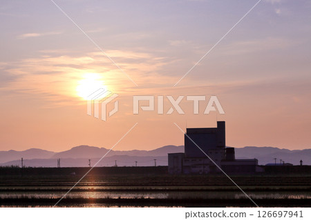 Rice fields illuminated by the morning sun in May 126697941