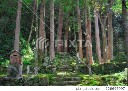 Namikiri Fudoson in Tokushima Prefecture Namikiri Fudoson in Tokushima Prefecture 126697997