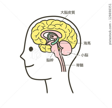 圖2 人腦各部分及其名稱解釋 圖2 人腦各部分及其名稱解釋 126698351