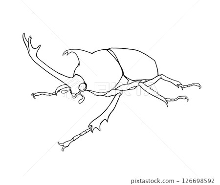 Realistic line drawing of a rhinoceros beetle 126698592