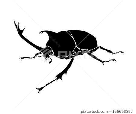 Realistic black and white illustration of a rhinoceros beetle (with white border) 126698593