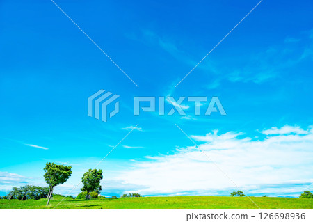 Blue sky and prairie Blue sky and prairie 126698936