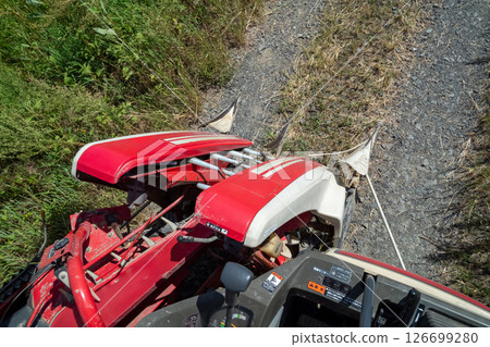 Rice reaping 126699280