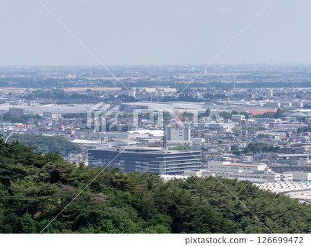 金山2025的景色 126699472