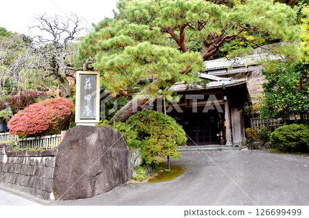 Yugawara Town: Fujitaya, a long-established hot spring inn, and autumn leaves 126699499