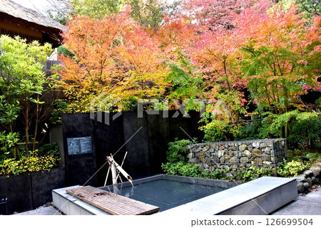 湯河原町萬葉公園湯河原Soyu足浴和入口露台上的秋葉 湯河原町萬葉公園湯河原Soyu足浴和入口露台上的秋葉 126699504