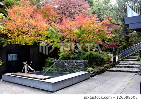 湯河原町萬葉公園湯河原Soyu足浴和入口露台上的秋葉 湯河原町萬葉公園湯河原Soyu足浴和入口露台上的秋葉 126699505