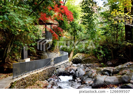 湯河原町萬葉公園湯河原宗湯川路和露台、秋葉和千歲河 126699507