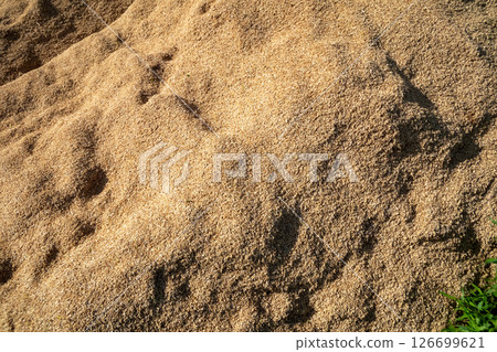 大量稻殼 大量稻殼 126699621