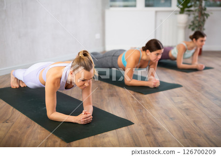 Young focused women doing plank pose in yoga studio 126700209