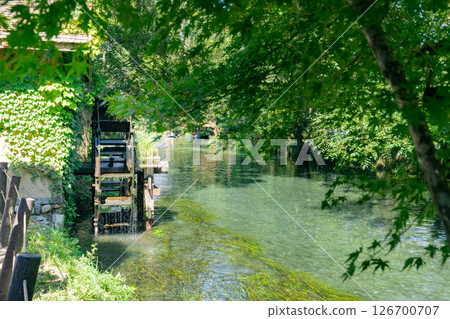 <安曇野>大王山葵農場的水車和美麗溪流的壯麗景色 126700707