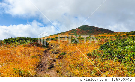 秋季攀登栗駒山(宇文沼~東栗駒:從浦掛路線交會處附近眺望栗駒山) 秋季攀登栗駒山(宇文沼~東栗駒:從浦掛路線交會處附近眺望栗駒山) 126700740