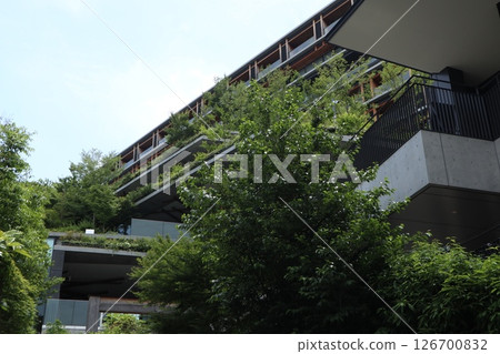 原宿街景 126700832