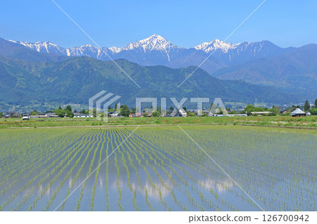 May in Azumino Countryside and Northern Alps 126700942