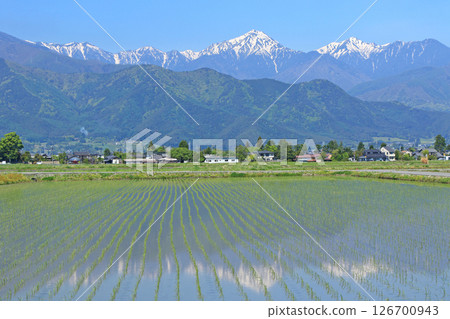May in Azumino Countryside and Northern Alps 126700943