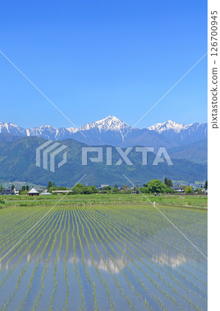 五月在安曇野鄉村和北阿爾卑斯山 五月在安曇野鄉村和北阿爾卑斯山 126700945