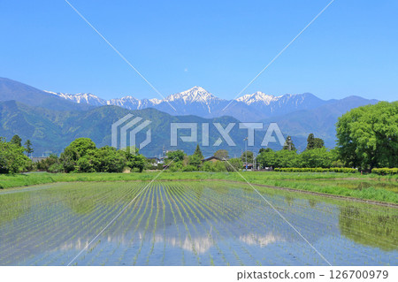五月在安曇野鄉村和北阿爾卑斯山 五月在安曇野鄉村和北阿爾卑斯山 126700979