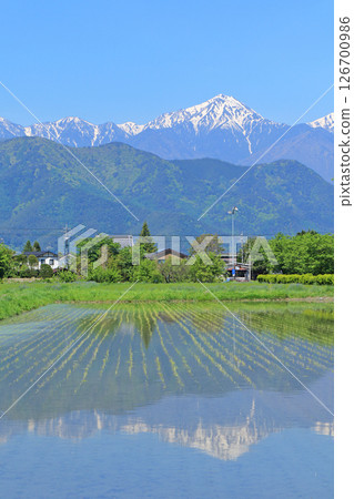 五月在安曇野鄉村和北阿爾卑斯山 五月在安曇野鄉村和北阿爾卑斯山 126700986