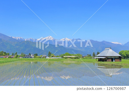五月在安曇野鄉村和北阿爾卑斯山 126700987