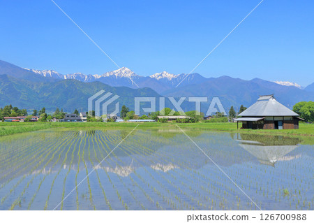 May in Azumino Countryside and Northern Alps 126700988