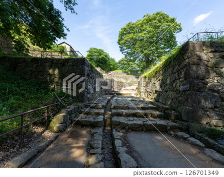 Kanayama Castle ruins, Ota City, Gunma Prefecture 126701349