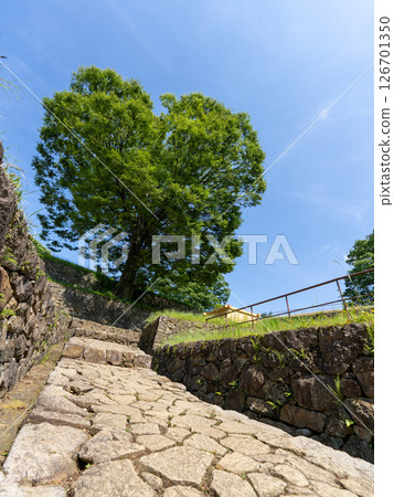 群馬縣太田市金山城遺址 126701350