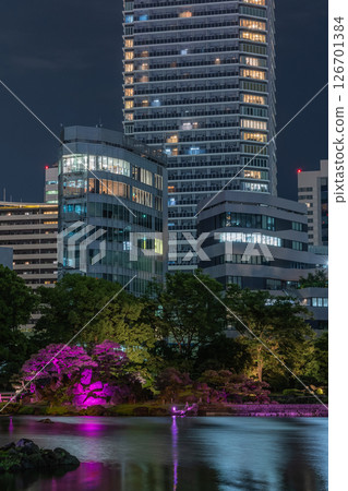 東京港區舊芝離宮公園的夜景 東京港區舊芝離宮公園的夜景 126701384
