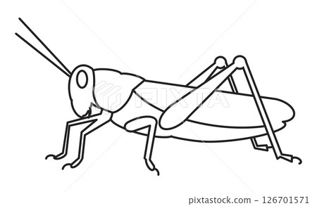 Simple line drawing illustration of a grasshopper 126701571