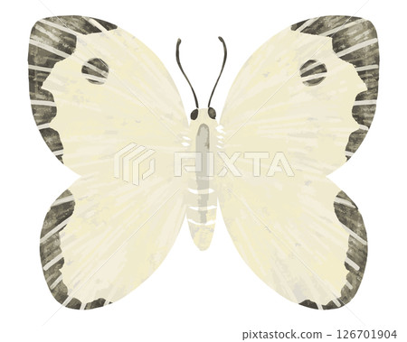 butterfly, butterflies, vector 126701904