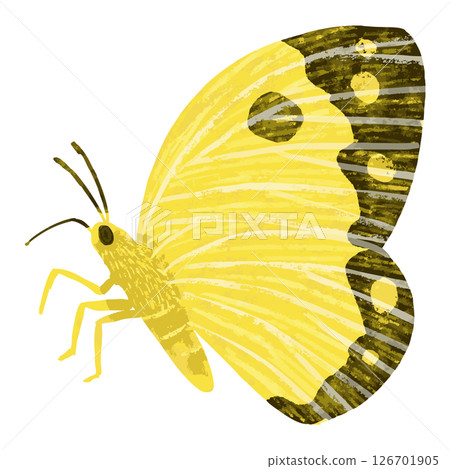 蝴蝶向量圖 126701905