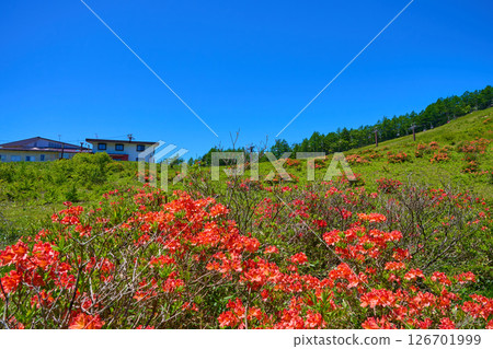 View of the Rengetsutsuji and sightseeing lift station from Yunomaru Plateau in Tsumagoi Village, Gunma Prefecture 126701999