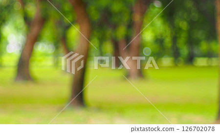 Defocused image of a green park or forest with bokeh light effects. Ideal for nature backgrounds, tranquil scenes, or use as a soft abstract texture for design and presentations.; Defocused image of a green park or forest with bokeh light effects. Ideal for nature backgrounds, tranquil scenes, or use as a soft abstract texture for design and presentations.; 126702078