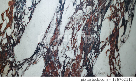 High-resolution luxury marble texture with striking brown, black, and white vein patterns. Perfect for architectural renders, backgrounds, and premium product mockups. High-resolution luxury marble texture with striking brown, black, and white vein patterns. Perfect for architectural renders, backgrounds, and premium product mockups. 126702115