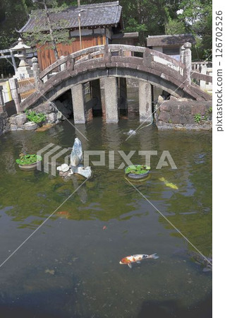 知立神社，有錦鯉的池塘 126702526