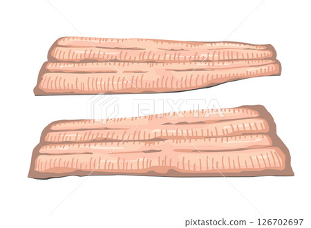 Eel illustration 126702697
