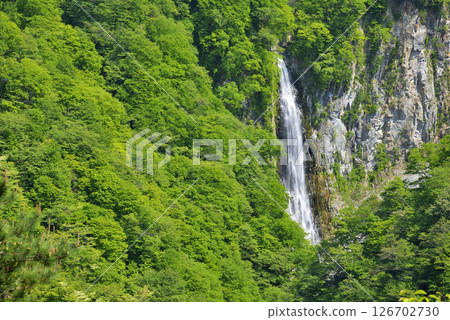 Shiga Kogen Hakumi Falls Shiga Kogen Hakumi Falls 126702730