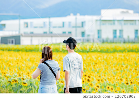 <Azumino> A couple enjoying the sunflower fields in Shinmura 126702902