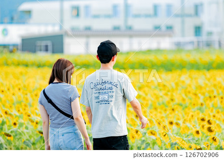 <安曇野> 一對情侶在新村的向日葵田裡玩耍 126702906