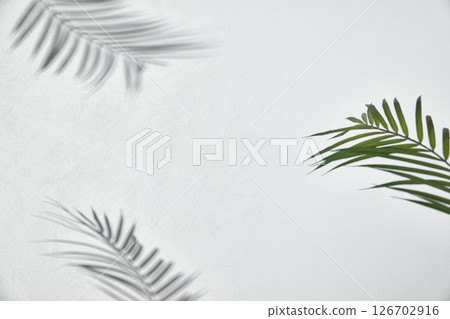 Tropical Shadow Leaves on Soft Colored Background. 126702916