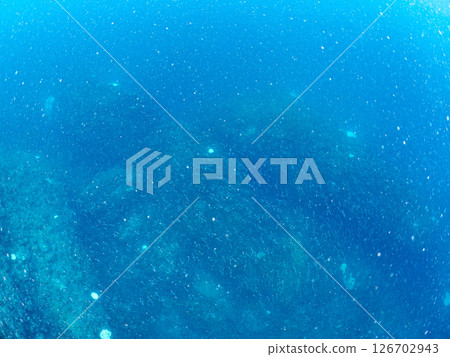 A school of beautiful mysterious fish juveniles. Thin, small and transparent. Hirizohama Nakagi Minamiizu Town Izu Peninsula Shizuoka Prefecture 2024 A school of beautiful mysterious fish juveniles. Thin, small and transparent. Hirizohama Nakagi Minamiizu Town Izu Peninsula Shizuoka Prefecture 2024 126702943