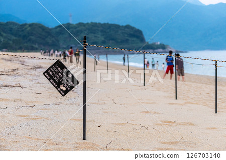Yakushima's largest sea turtle nesting site, Nagata Inakahama (Summer) 126703140