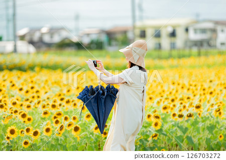 <Azumino> Back view of a woman enjoying the sunflower field in Shinmura <Azumino> Back view of a woman enjoying the sunflower field in Shinmura 126703272