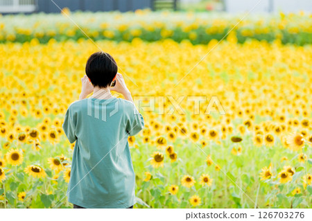 <Azumino> Back view of a woman enjoying the sunflower field in Shinmura 126703276