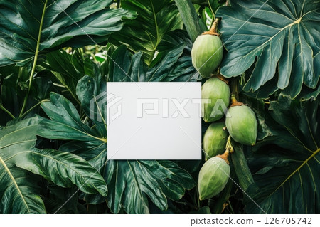 A white card is placed on a green leafy plant 126705742